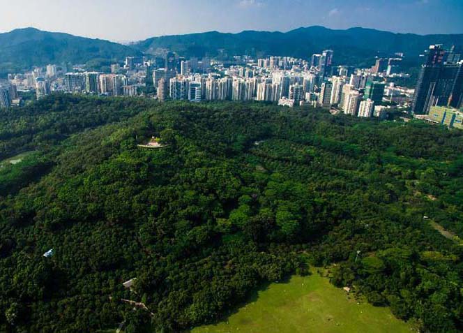 35º aniversário da fundação da Zona Econômica Especial de Shenzhen