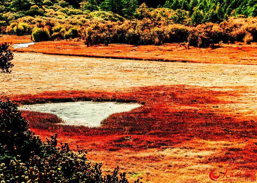 Daocheng Yading: um lugar de pura beleza