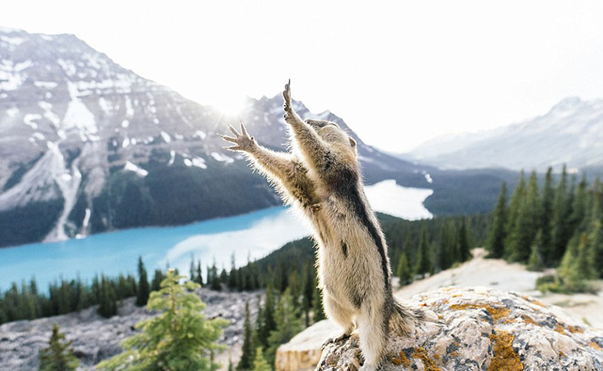 As melhores fotos do concurso National Geographic 2015