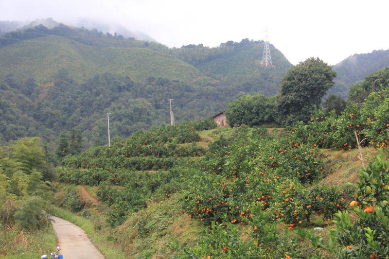 Jiangxi pelos olhos da imprensa internacional – Parque Nacional Yangling, Vila de Hengshuizhen