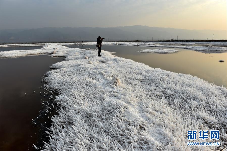 Lindos cristais de sal no lago de Yuncheng