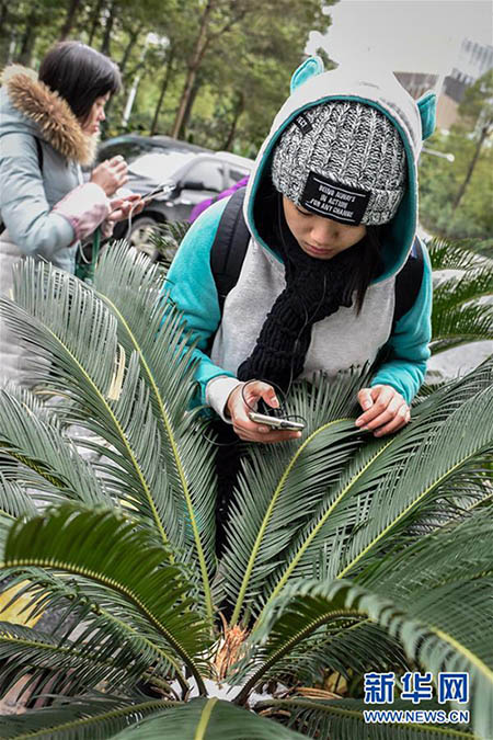 Guangzhou tem sua primeira tempestade de neve nos últimos 60 anos