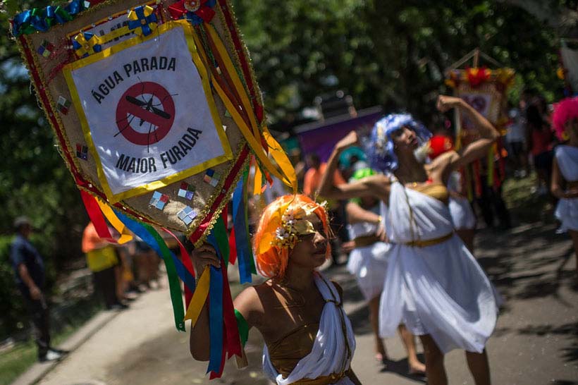 Epidemia do vírus Zika alastra-se nos países americanos