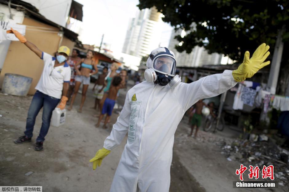 Organização Mundial da Saúde se mostra preocupada com o vírus Zika