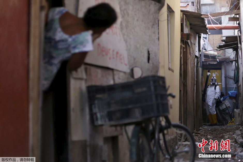 Organização Mundial da Saúde se mostra preocupada com o vírus Zika