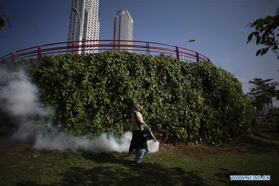 Panamá confirma 50 casos do vírus Zika