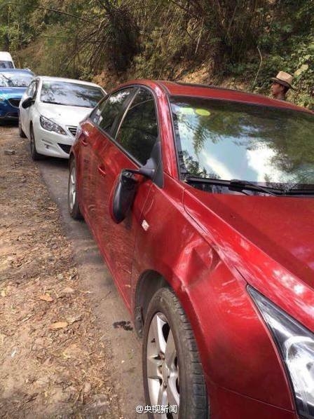 Elefante selvagem erra caminho, entra em estrada e destrói 15 carros