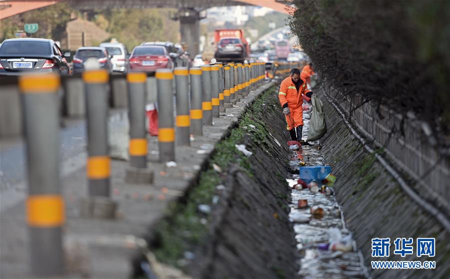 20 toneladas de lixo são recolhidas diariamente ao longo de autoestrada de 60 quilómetros