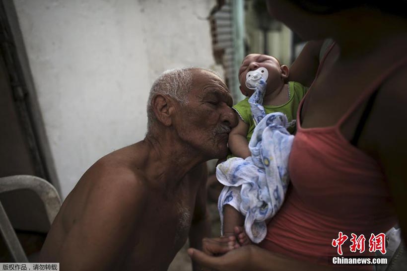 OMS lança resposta global para enfrentar surto do vírus Zika