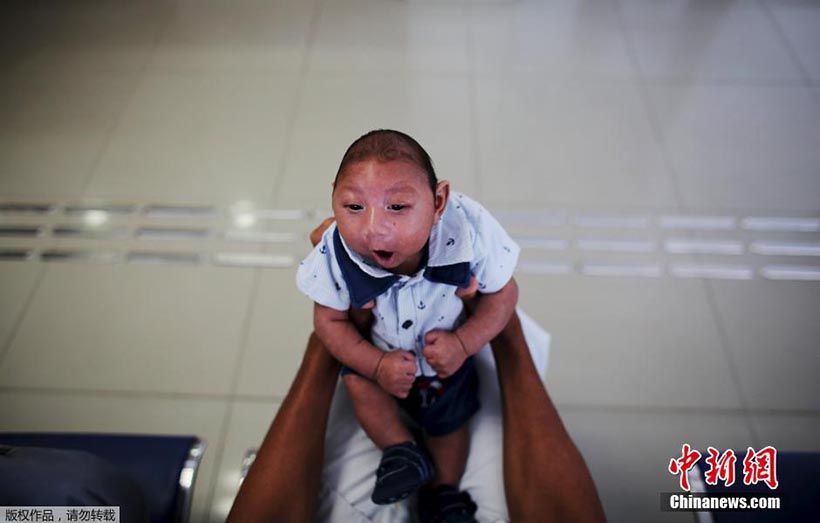 OMS lança resposta global para enfrentar surto do vírus Zika