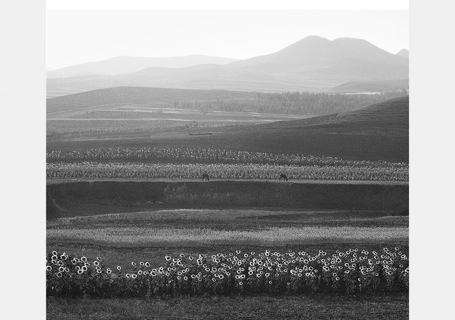 Paisagens únicas da China a preto e branco