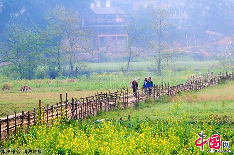 Aldeia Bamei: o vale lendário das flores de pessegueiro