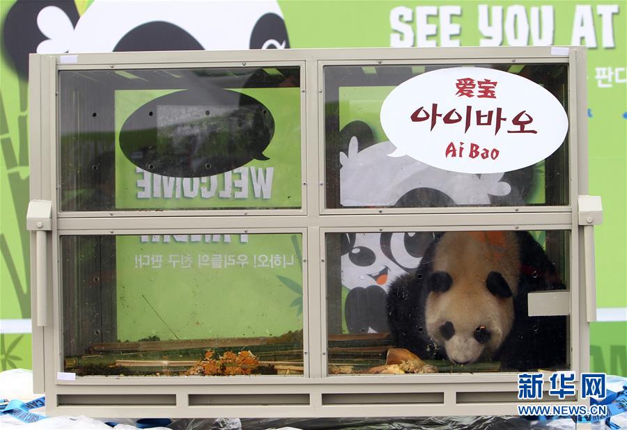 Coreia do Sul recebe casal de pandas chineses