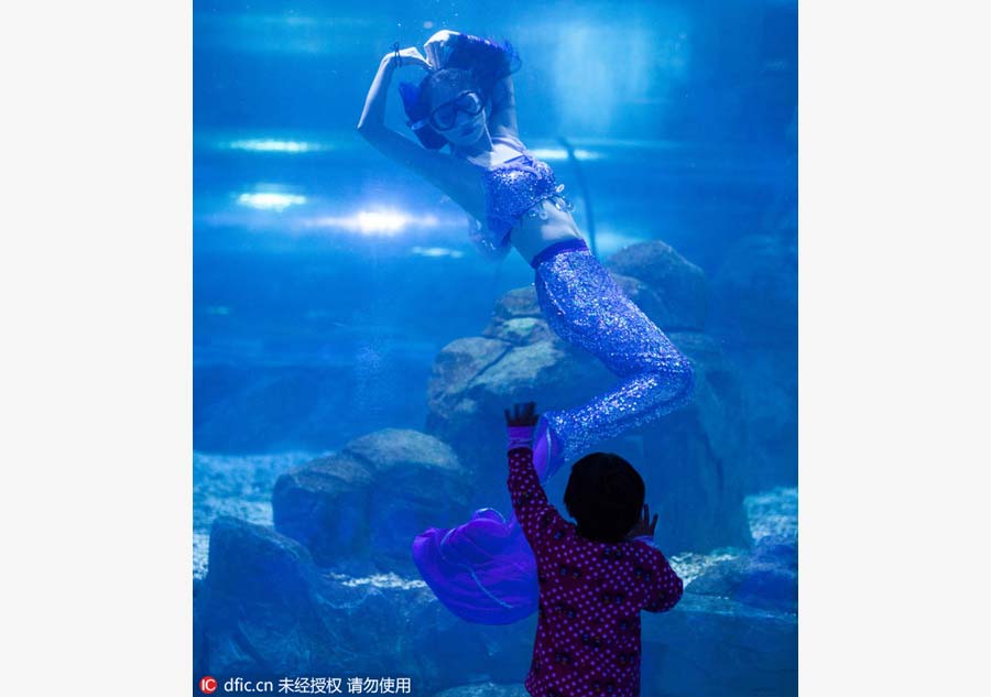 Mulher sai da televisão para se tornar uma “sereia” em aquário de Changchun