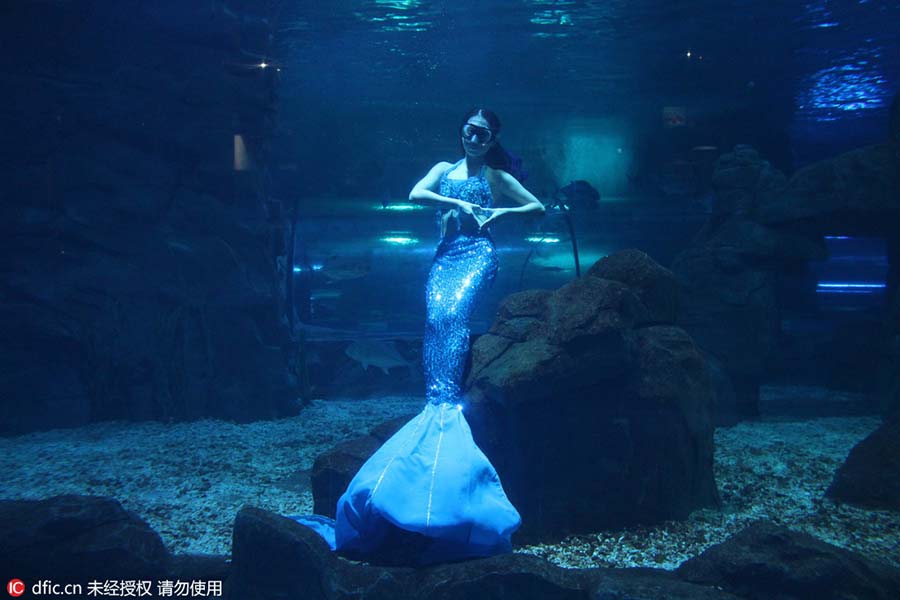 Mulher sai da televisão para se tornar uma “sereia” em aquário de Changchun