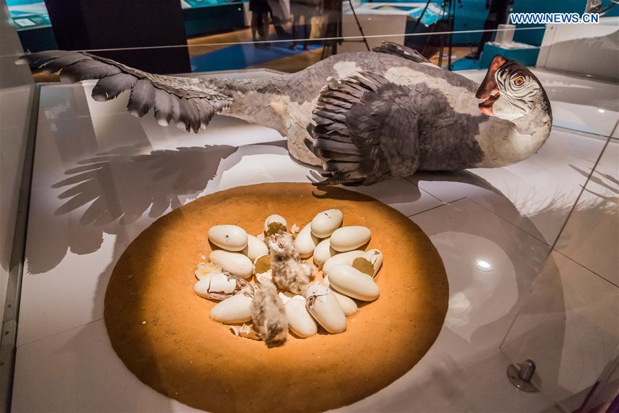 Exposição “Dinossauros Entre Nós” abre ao público em Nova Iorque