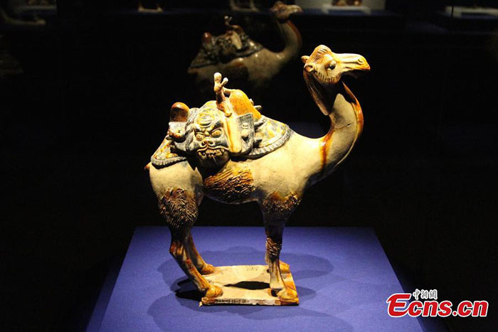 Cerâmica rara da Dinastia Tang é exibida no noroeste da China
