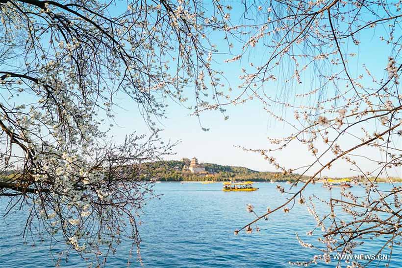 Paisagem de Primavera no Palácio de Verão em Beijing