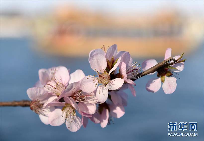 Paisagem de Primavera no Palácio de Verão em Beijing