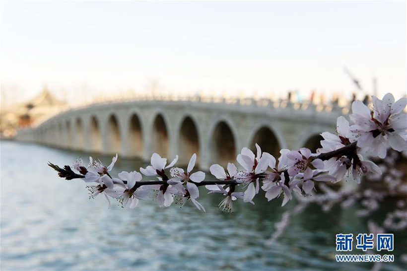 Paisagem de Primavera no Palácio de Verão em Beijing