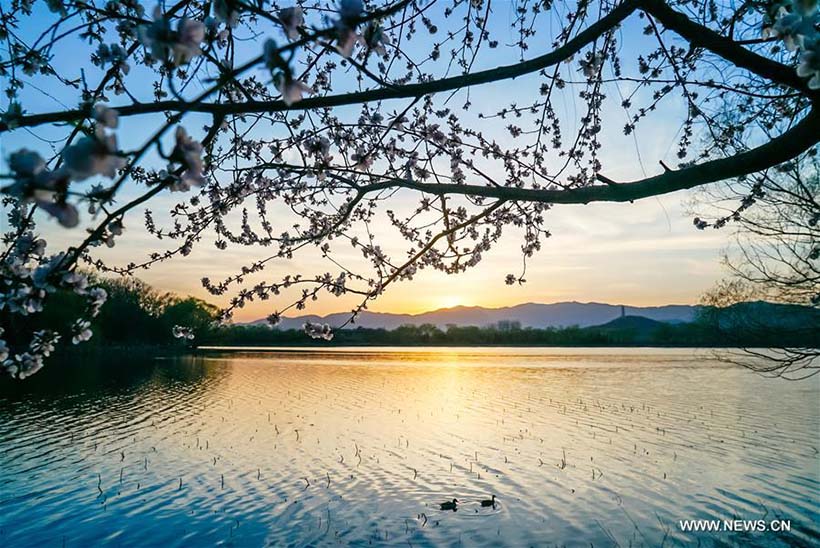 Paisagem de Primavera no Palácio de Verão em Beijing