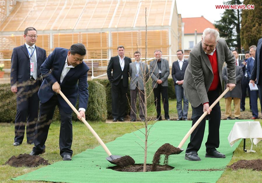 Presidente chinês se reúne com seu homólogo tcheco