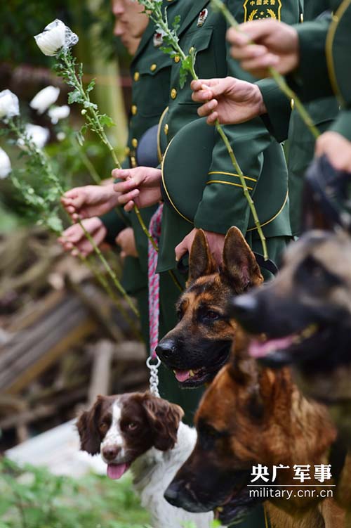 Soldados prestam homenagem aos cães policiais heróis