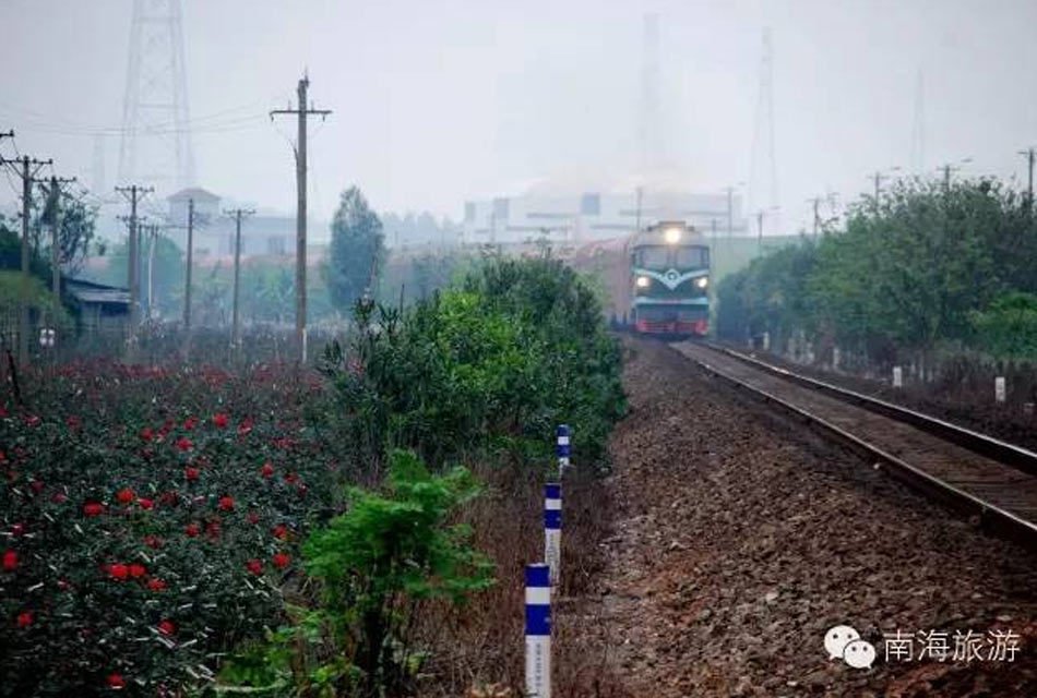 Jovem chinesa de 19 anos é atingida por um trem enquanto tira “selfie”