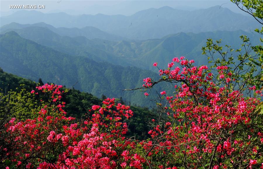 Paisagem da Montanha Longmian