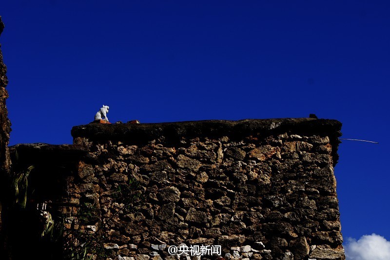 Aldeia antiga com casas construidas por fósseis de 375 milhões de anos