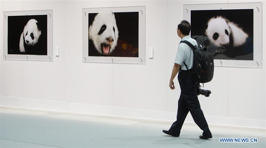 Exposição de arte alusiva ao panda será inaugurada em HK