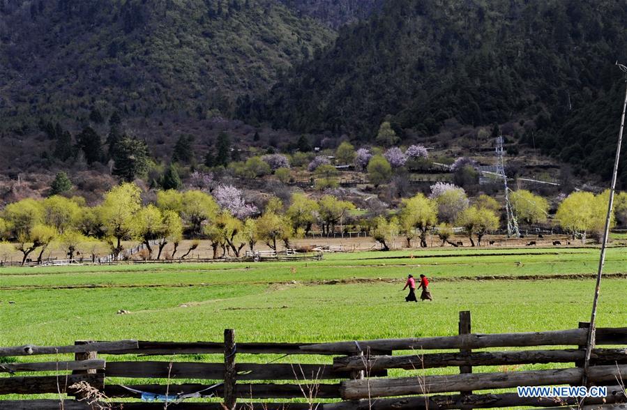 Paisagens da Região Autônoma do Tibete