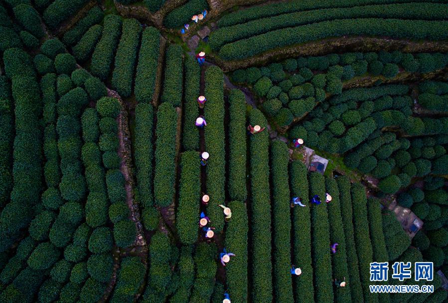 Visão aérea da cidade anfitriã do G20