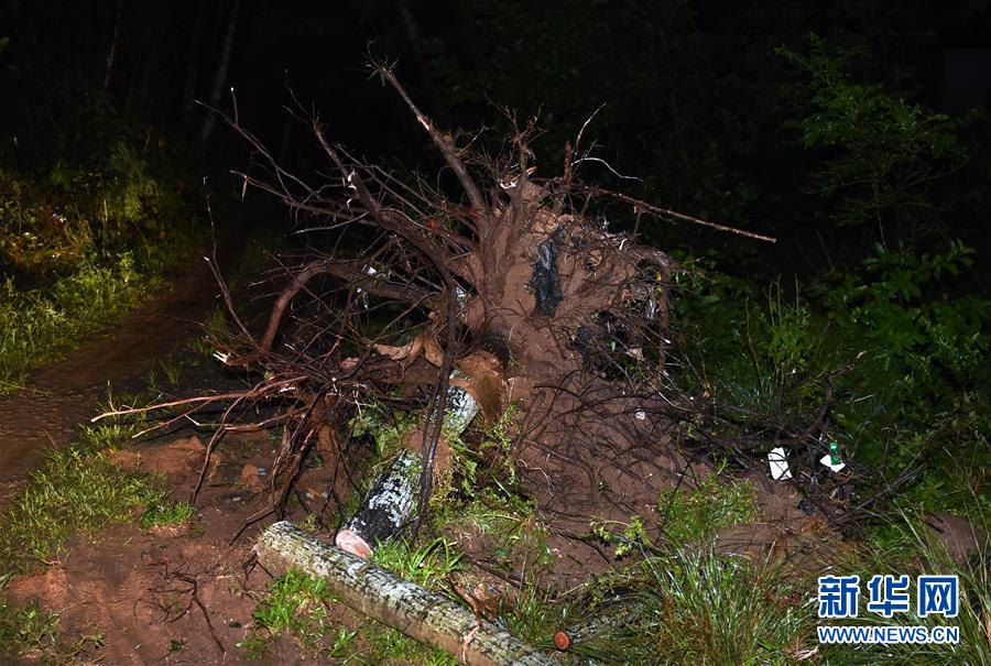 Tornado forte atinge sul da China