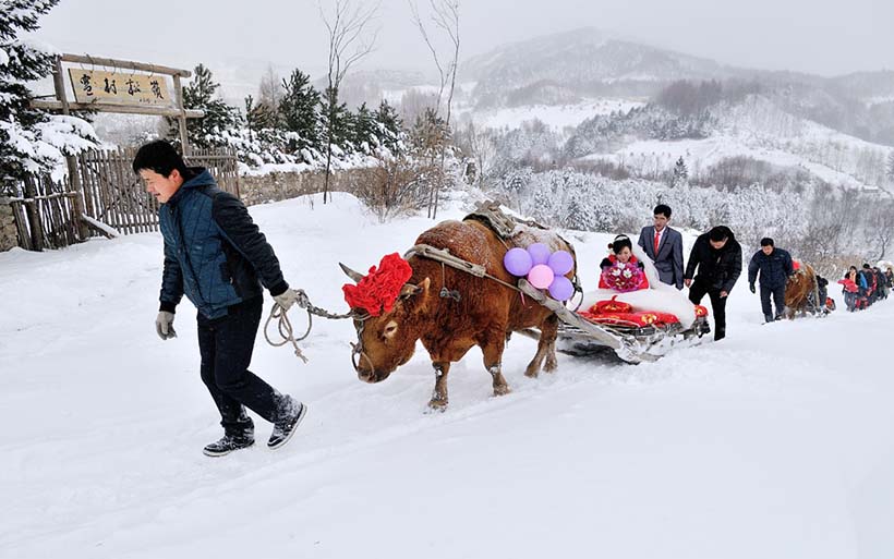 China e Rússia concluem projeto fotográfico de documentação do quotidiano chinês