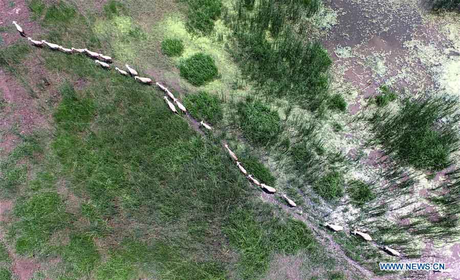 Parque pantanoso do Rio Chaobai de Tianjin será aberto ao público