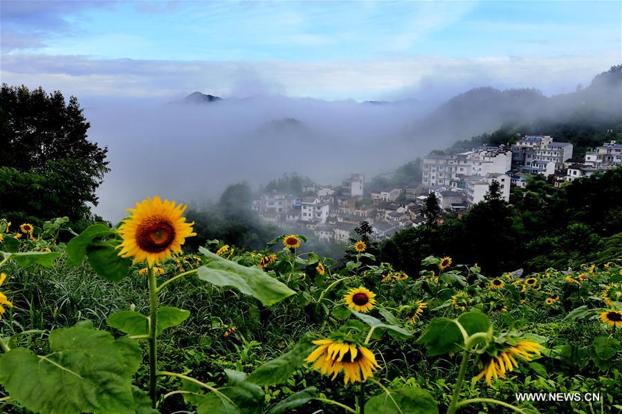 Paisagem da cidade de Huangshan no leste da China