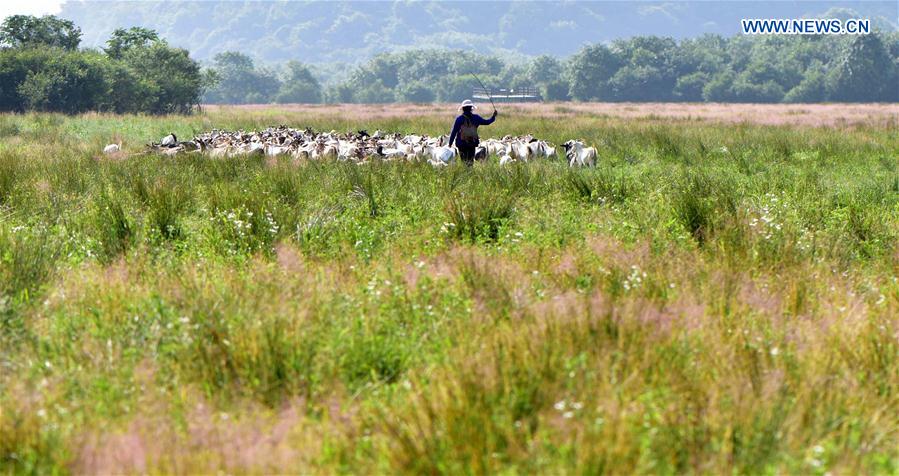 Shennongjia é declarado Patrimônio Mundial da Humanidade