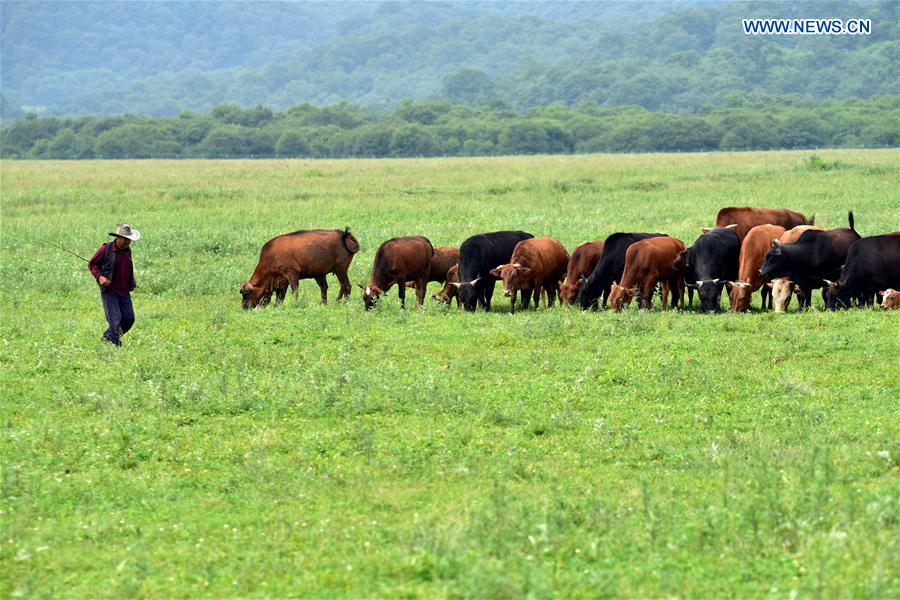 Shennongjia é declarado Patrimônio Mundial da Humanidade