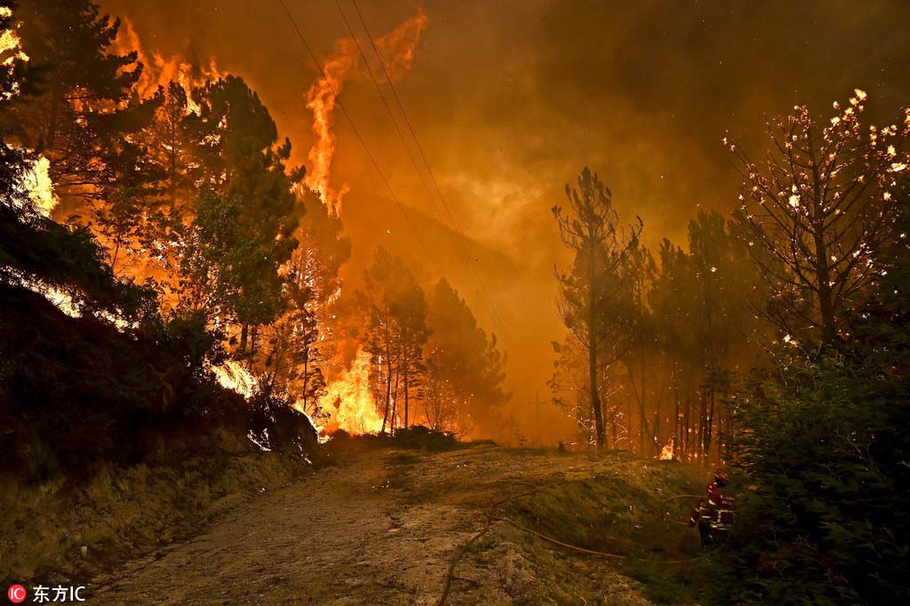 Grandes incêndios continuam atingindo Portugal 