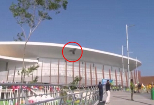 Cable camera cai e deixa 7 feridos nos Jogos Olímpicos do Rio 2016