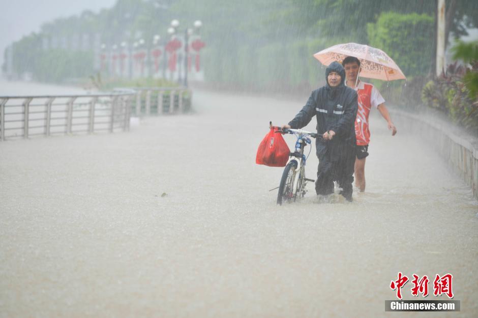 Tufão Dianmu chega ao sul da China