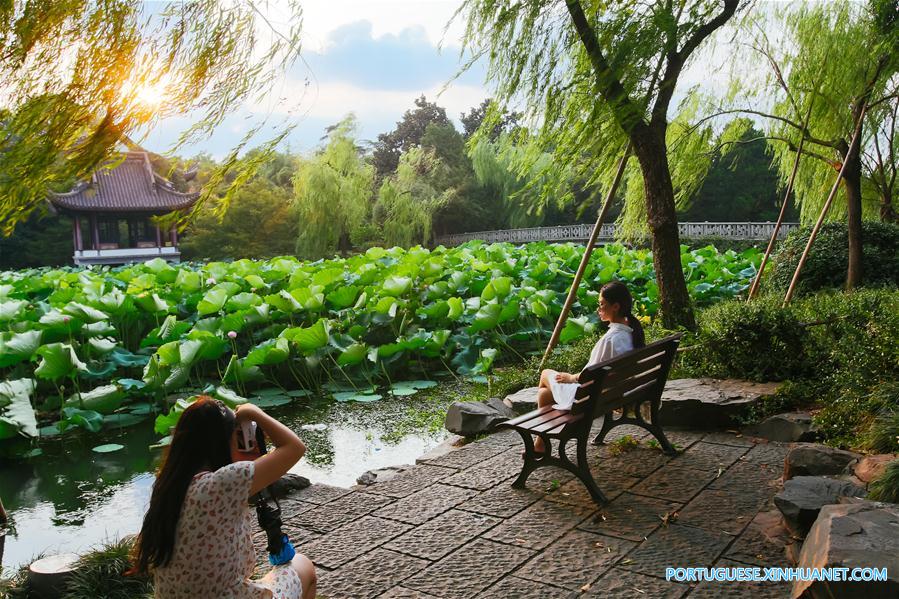 Vida quotidiana em Hangzhou, anfitriã da Cúpula do G20 2016
