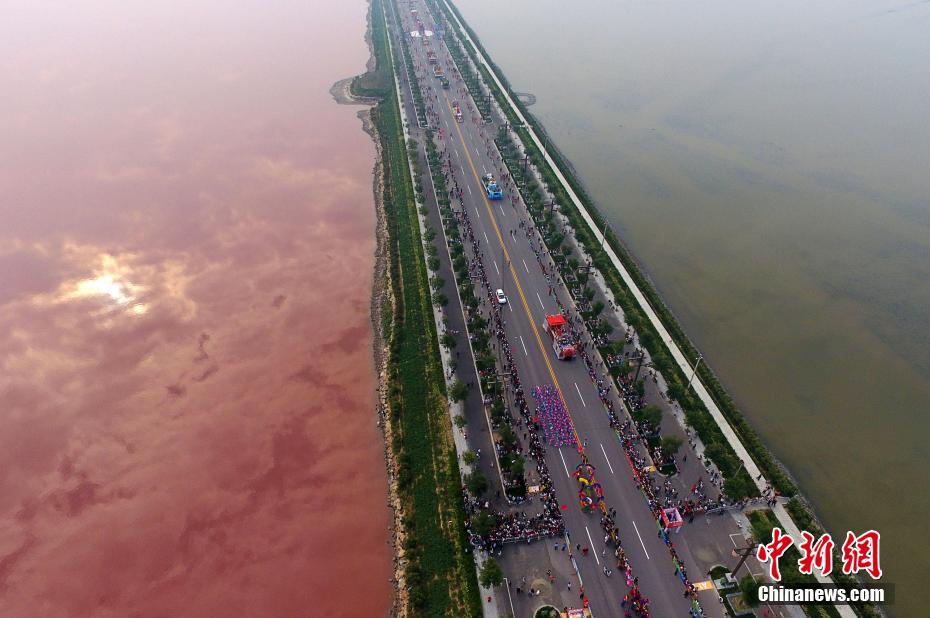 Lago salgado torna-se cor de rosa devido a presença intensa de algas