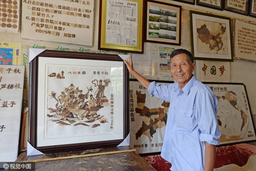 Agricultor cria mapa da China através da plantação de arroz colorido em Shanghai