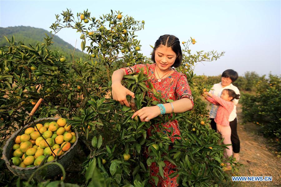 Chineses batem novo recorde de compras durante férias do Dia Nacional