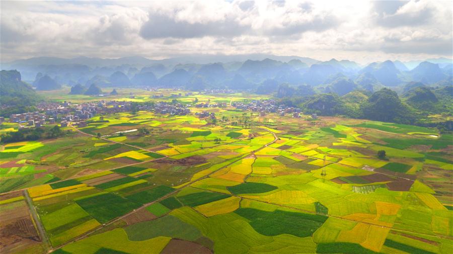 Vista dos campos de arroz em Hunan