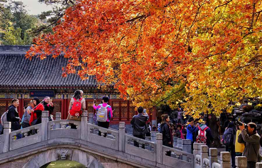 Turistas acorrem ao Parque Xiangshan para apreciar paisagem outonal