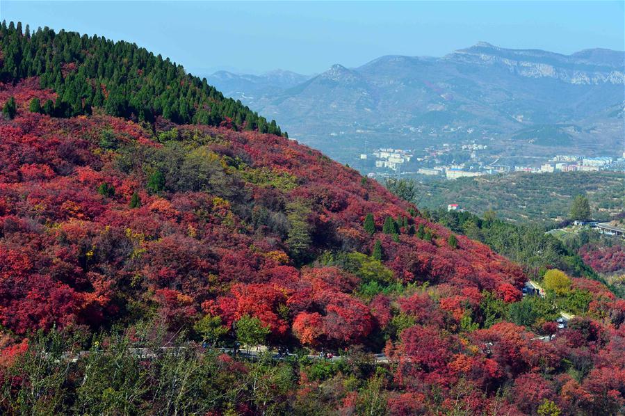 Cenário do outono em Jinan da China