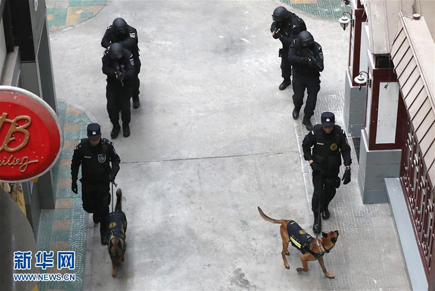 Mais de 1.000 cães policiais colaboram em investigações criminais em Beijing